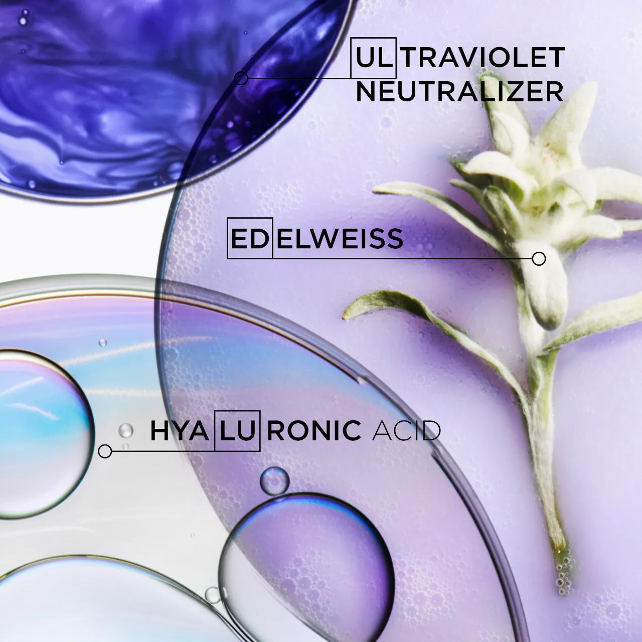 Blond Absolu Anti-Brass Purple Hair Mask