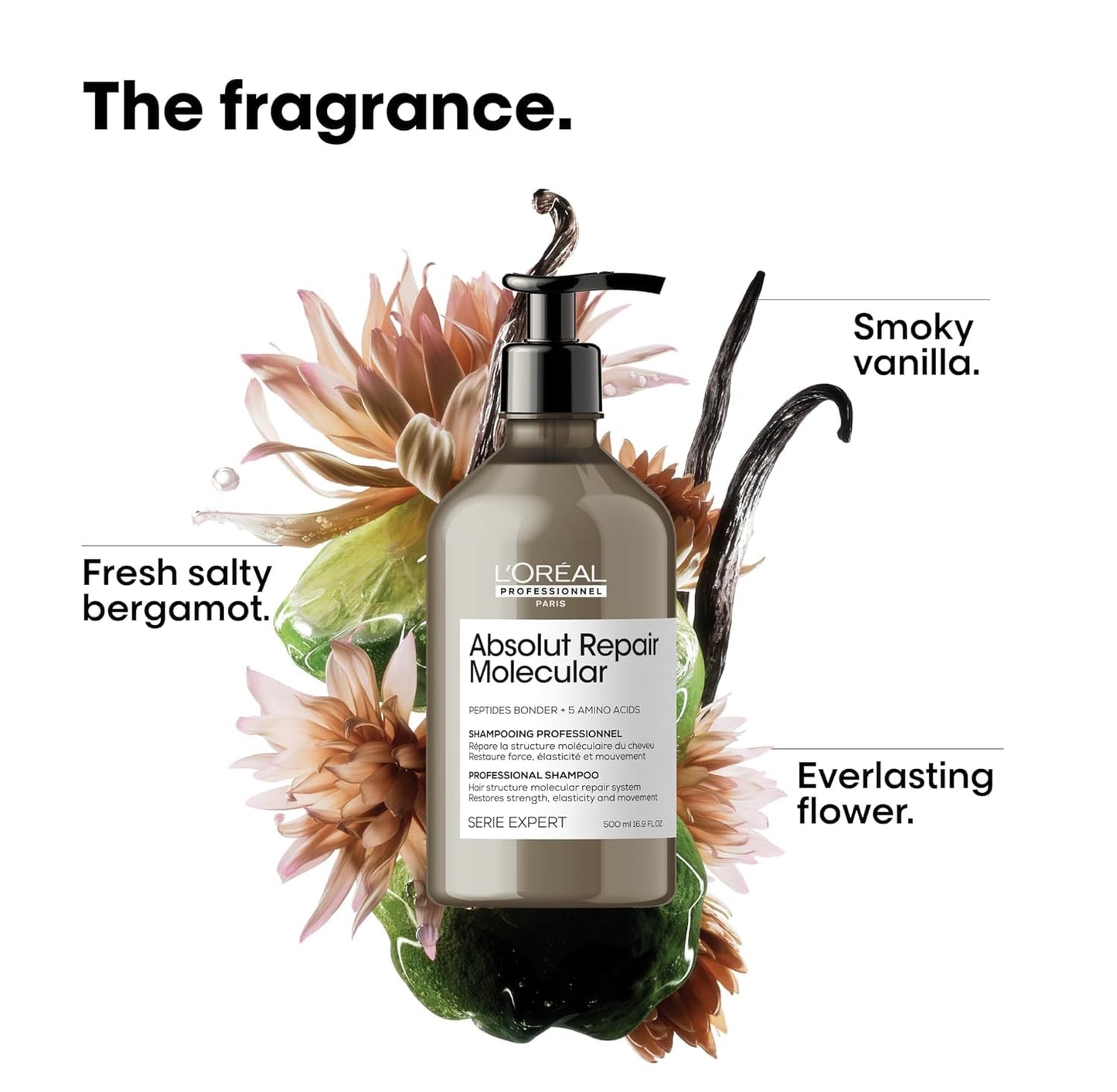 
                  
                    Absolut Repair Molecular Shampoo
                  
                