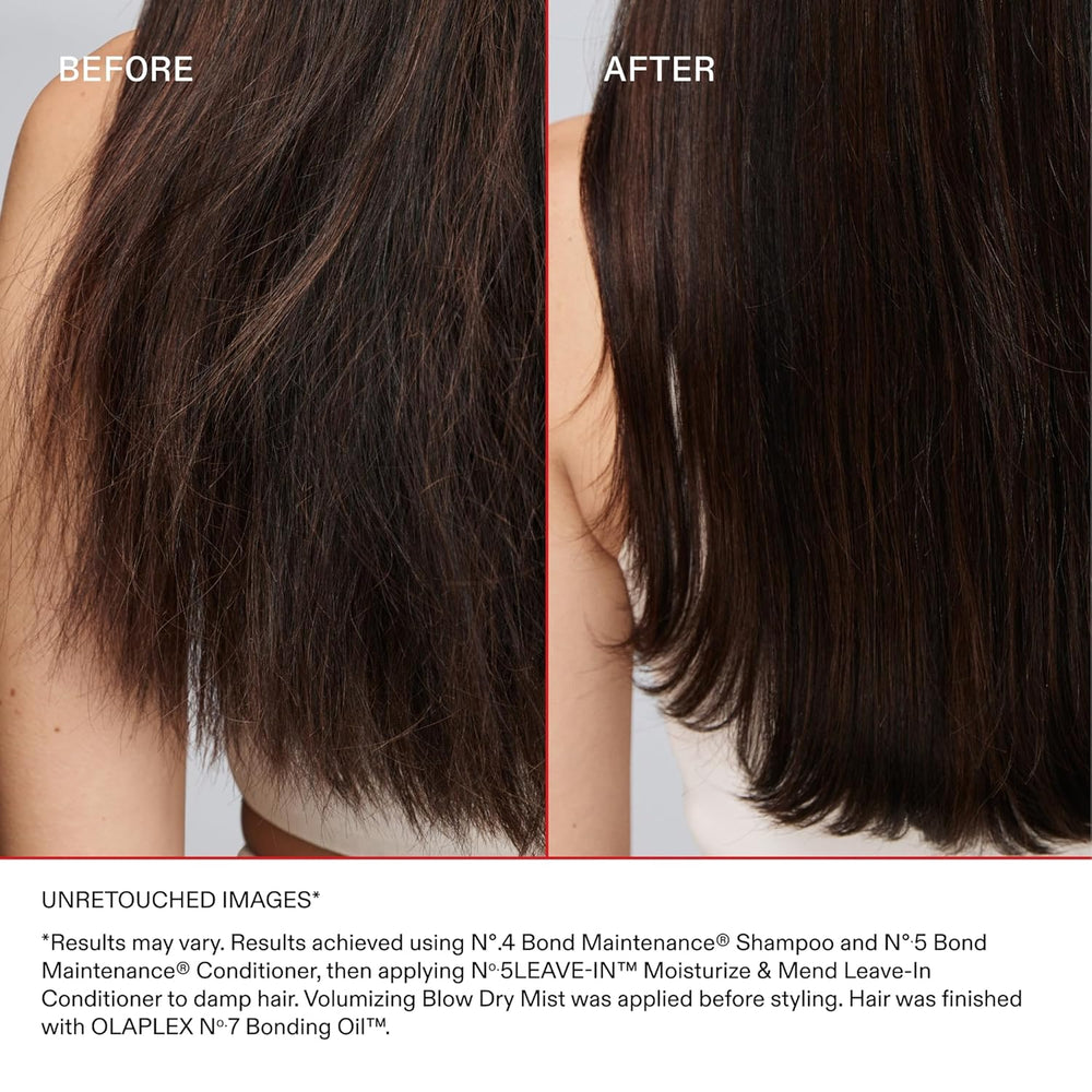 
                  
                    Nº.5 LEAVE-IN MOISTURIZE & MEND LEAVE-IN CONDITIONER
                  
                