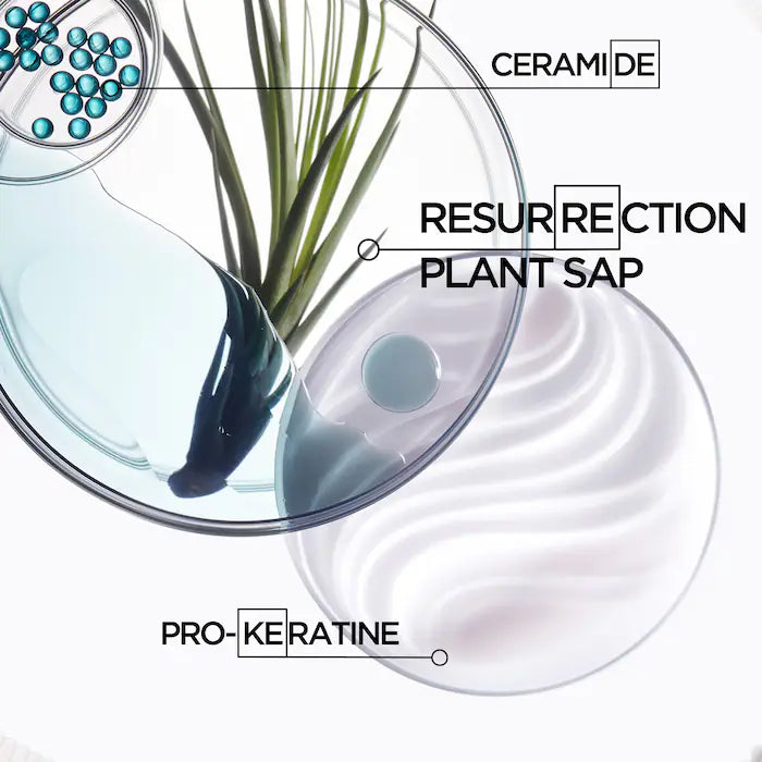 
                  
                    Resistance Heat Protectant Leave-In Styling Cream for Damaged Hair
                  
                