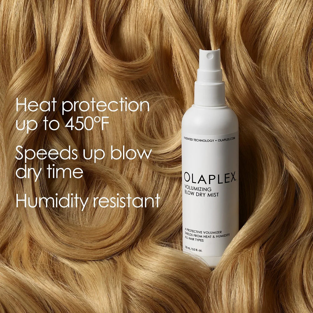 
                  
                    VOLUMIZING BLOW DRY MIST
                  
                